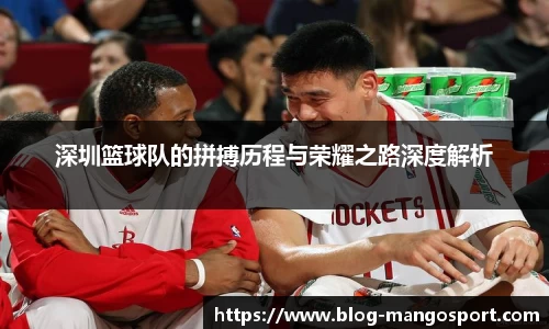 深圳篮球队的拼搏历程与荣耀之路深度解析